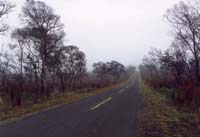 Mauna Loa Road Strip