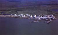 PPT - Pederson Point