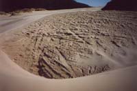 Oregon Sand Dunes