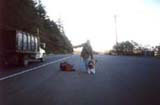 Hitchhiker with a dog