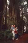 Alice, Sam, Henry, Frank