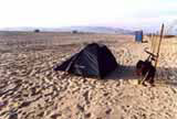 Kemp v Oceano Dunes