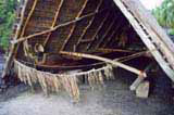 Halau