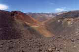 Halali'i