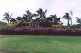 Aloha