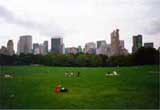 Sheep Meadow