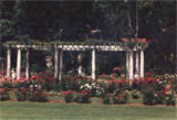Parc de la Tete D´or