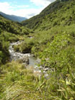 Valley with the Hurunui River