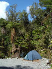 Kemp Reinforest, Franz Josef Glacier Village