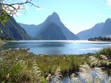Milford Sound, NZ