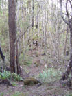 Abel Tasman Inland Track