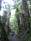 Te Urewera