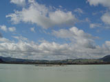Lake Rotorua