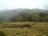 McKellar Pass, Coplan Track